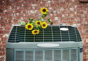 AC-outdoor-unit-with-sunflowers